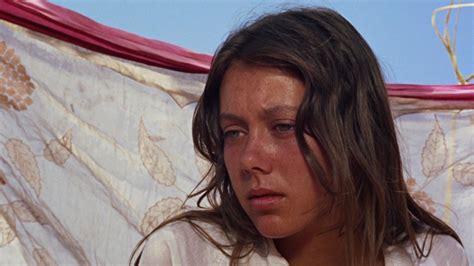 jenny agutter in the nude|Jenny Agutter expresses one ‘regret’ about doing Walkabout .